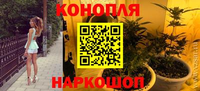 крисы Бузулук