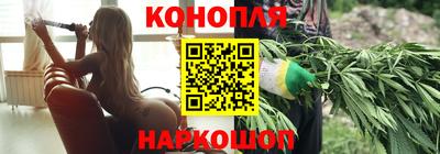 крисы Бузулук