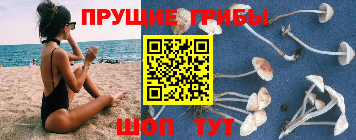 Галлюциногенные грибы ЛСД Лесозаводск