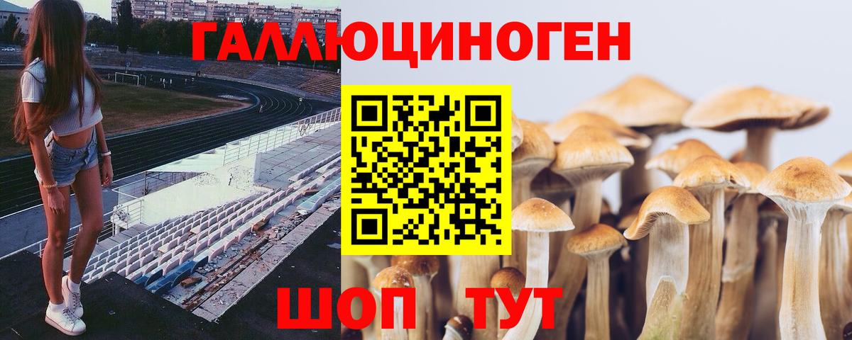 Псилоцибиновые грибы ЛСД  Вход с VPN  Лесозаводск  Галлюциногенные грибы прущие грибы 
